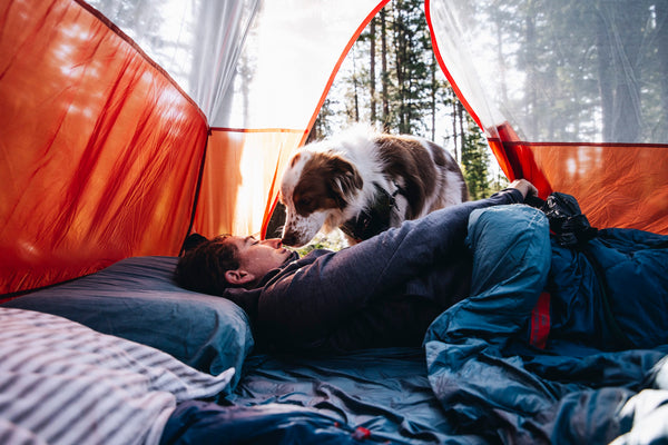 Best Tents for Camping with Your Dog