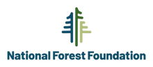 Nff logo fullcolor vert